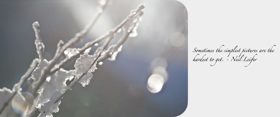winter600px_quote.jpg